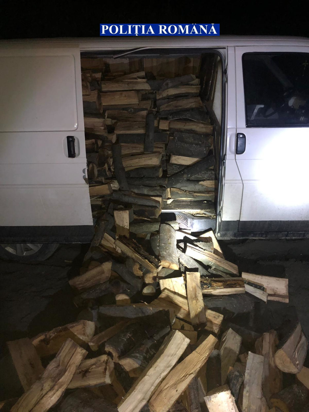 Cercetat pentru tăiere ilegală de material lemnos