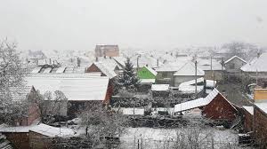 Ninge cu fulgi cât bobul de mazăre la Sibiu