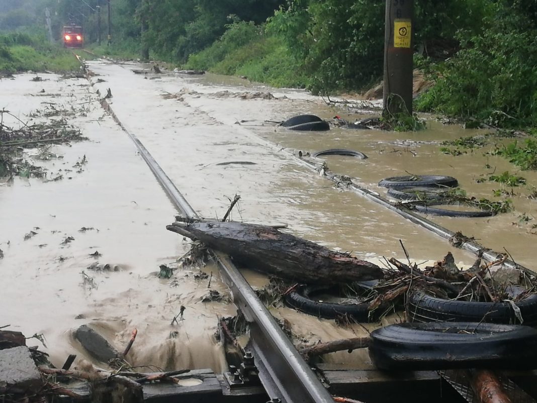 Cod porocaliu și-n zona de nord a județului Gorj