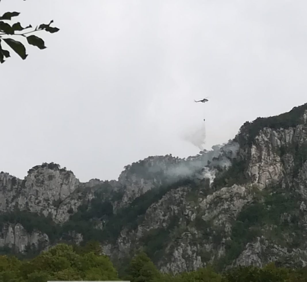 Pompierii au stabilit cauza incendiului din Parcul Național 