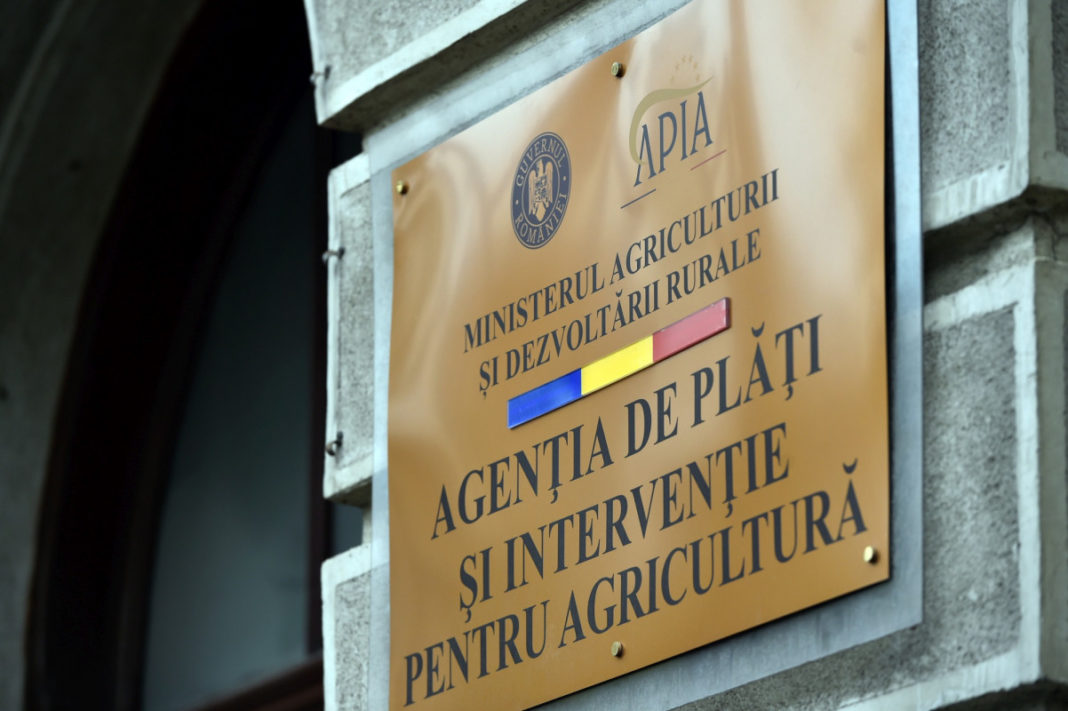 APIA prelungeşte până în februarie depunerea cererilor pentru prima împădurire şi crearea de suprafeţe împădurite