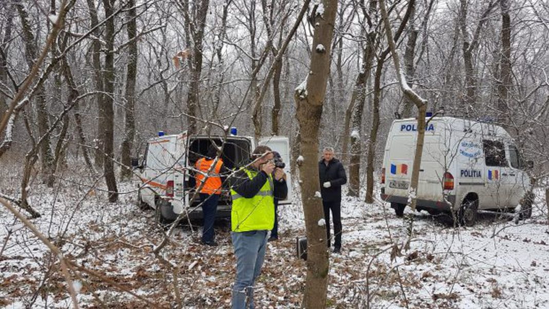 Un copil a murit lovit de copacul tăiat de tatăl lui