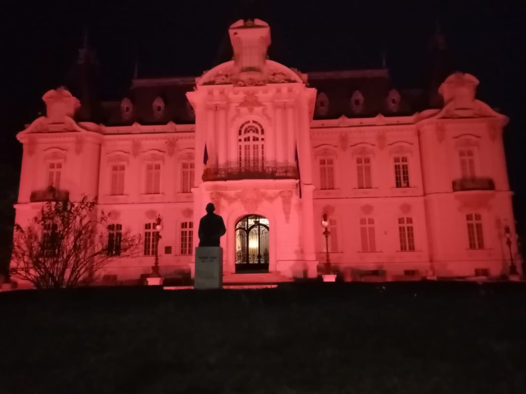 Clădirea Muzeului de Artă Craiova va fi iluminată în roșu