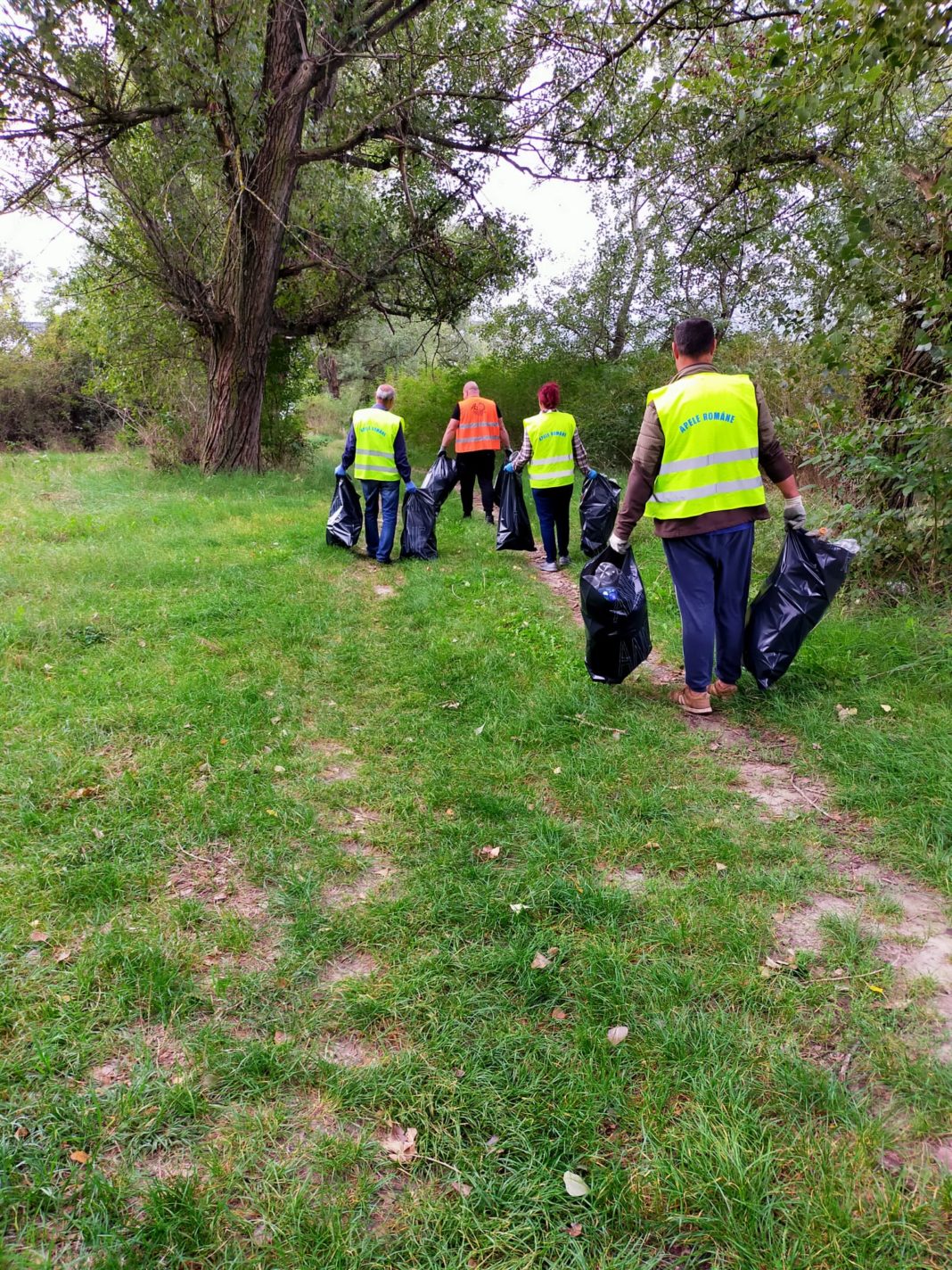 Dotați cu saci și mănuși, voluntarii A.B.A Jiu din județele Dolj și Hunedoara s-au alăturat organizatorilor Let’s do It, România