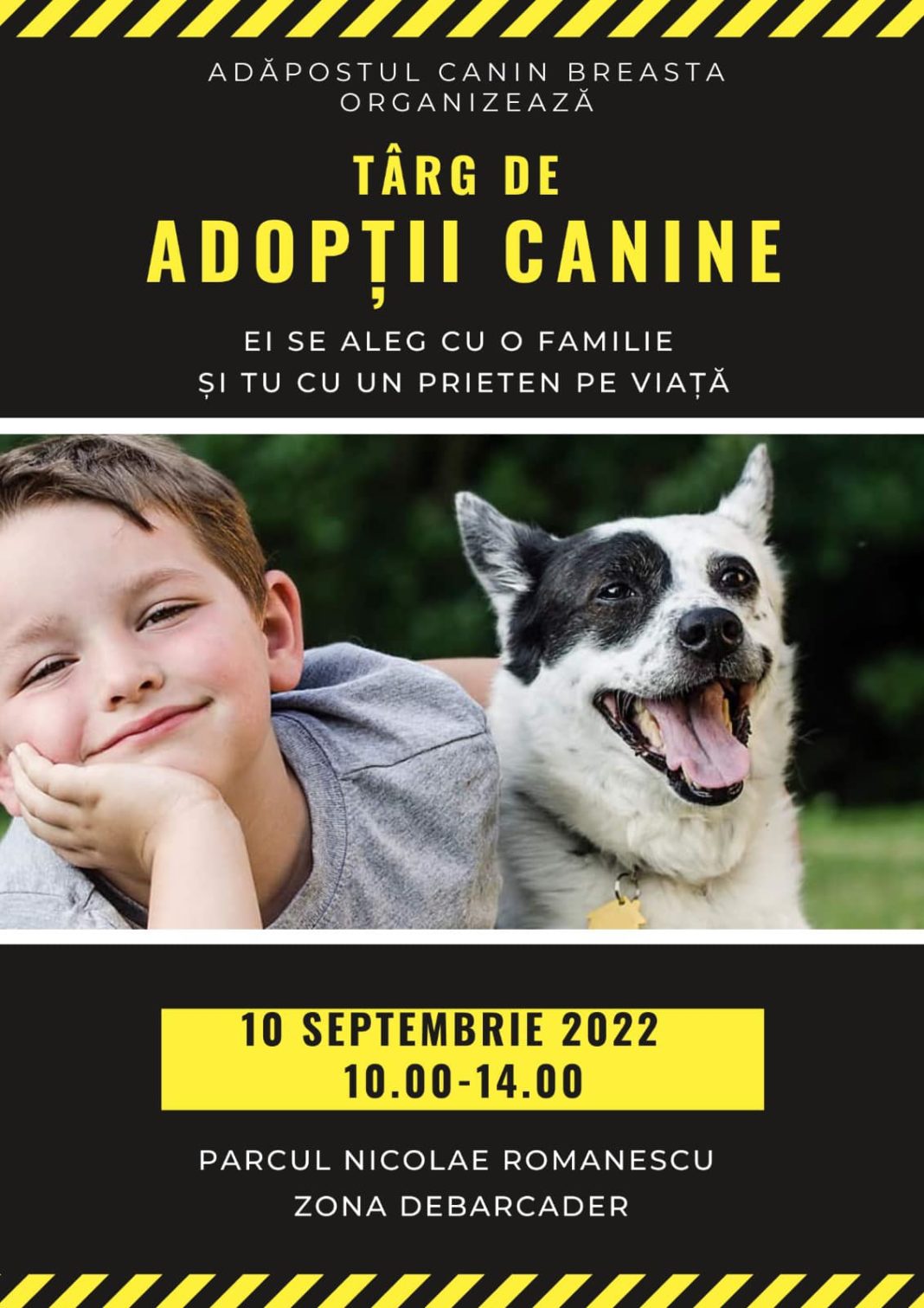 Târg de adopții canine în Parcul „Nicolae Romanescu“