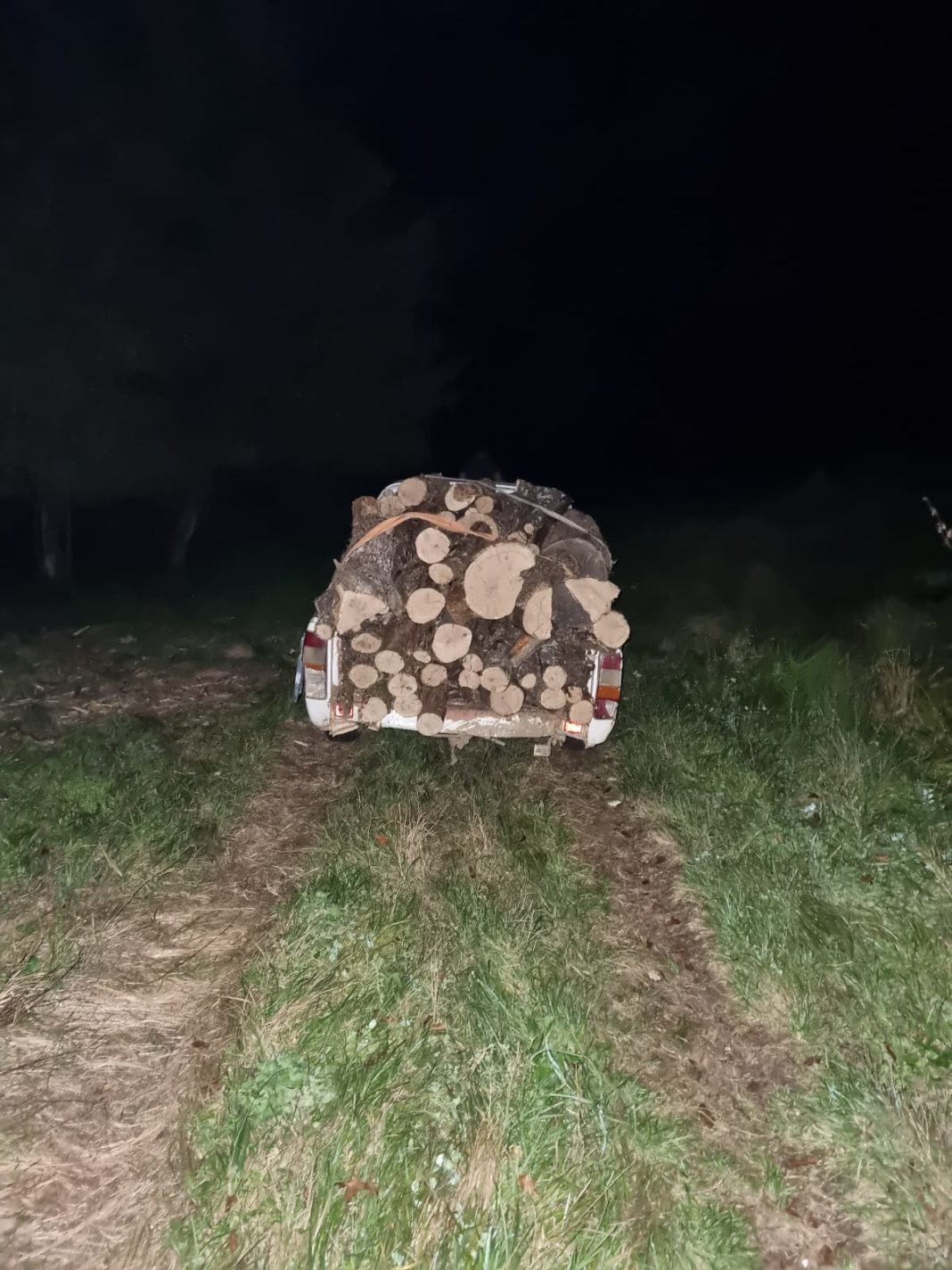 La fața locului s-au deplasat polițiști din cadrul Secție Poliție Rurală Șimian care au surprins în flagrant delict trei bărbați care ar fi tăiat de pe picior arbori