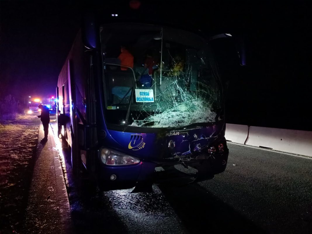 Taur lovit de un autocar plin cu copii