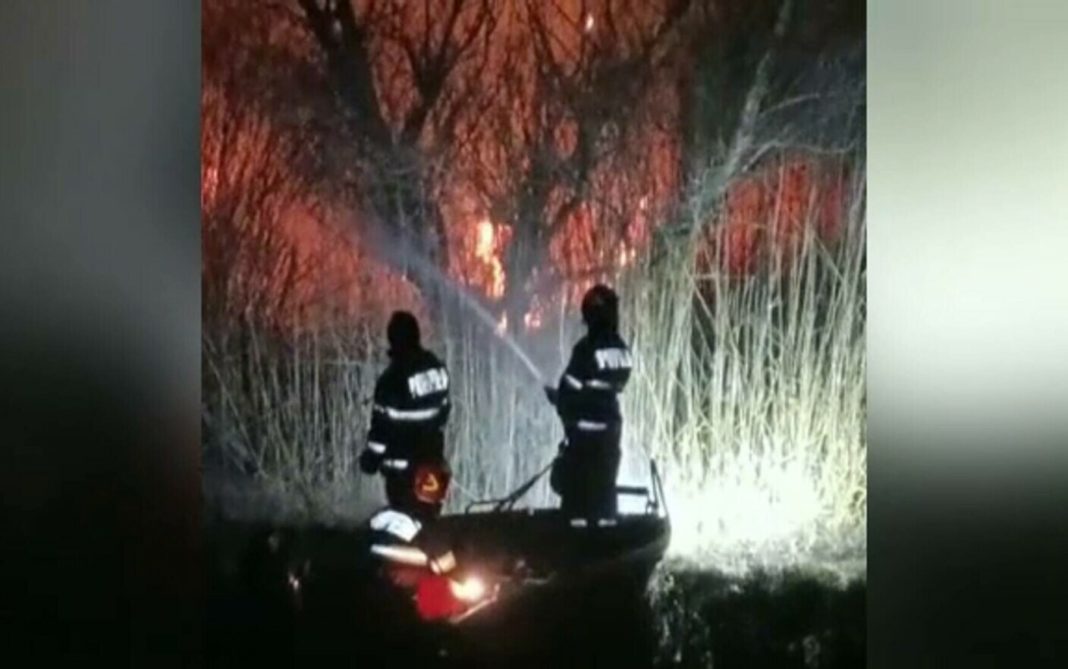 Flăcări violente au cuprins luni seară 150 de hectare de papură și stuf, în Delta Dunării, în apropiere de Sulina.