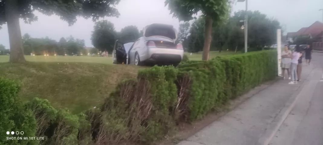 Un șofer a intrat cu mașina în Parcul 