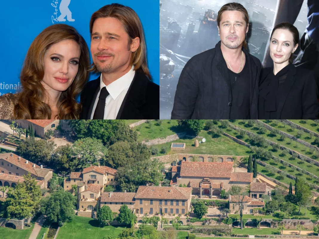 Brad Pitt, acuzat că a „jefuit” podgoria din Provence