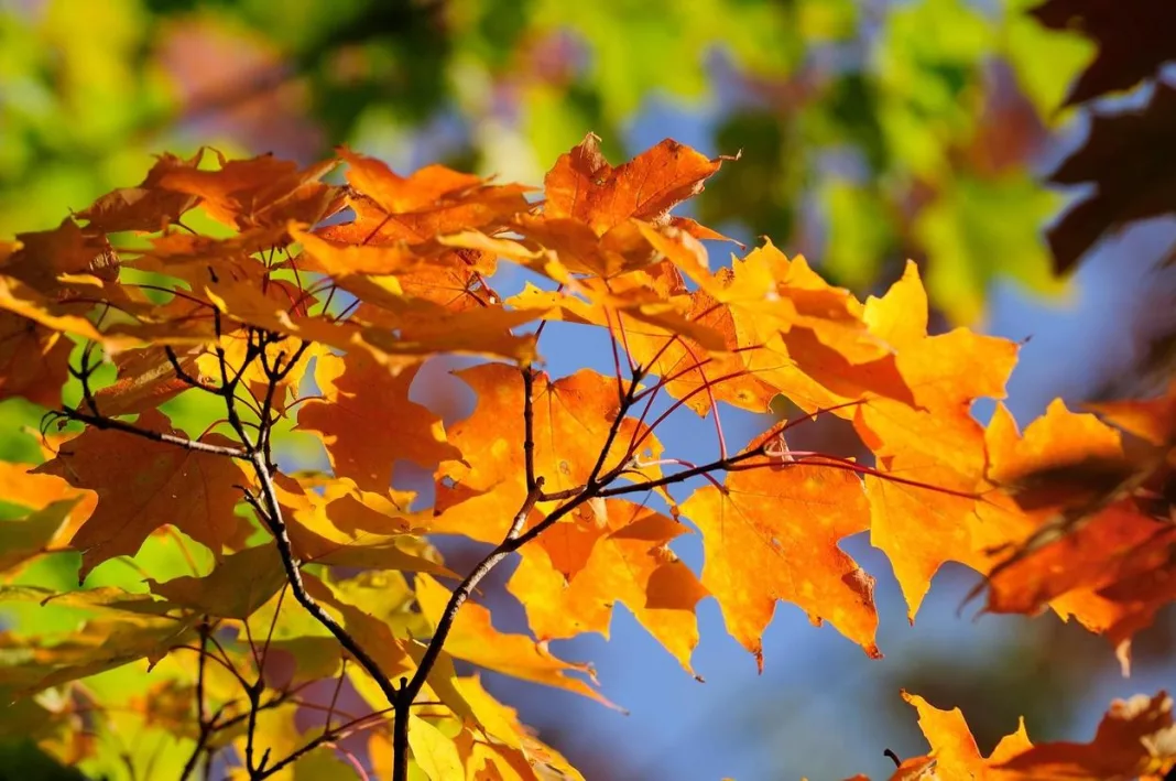 În septembrie vor fi temperaturi peste cele normale