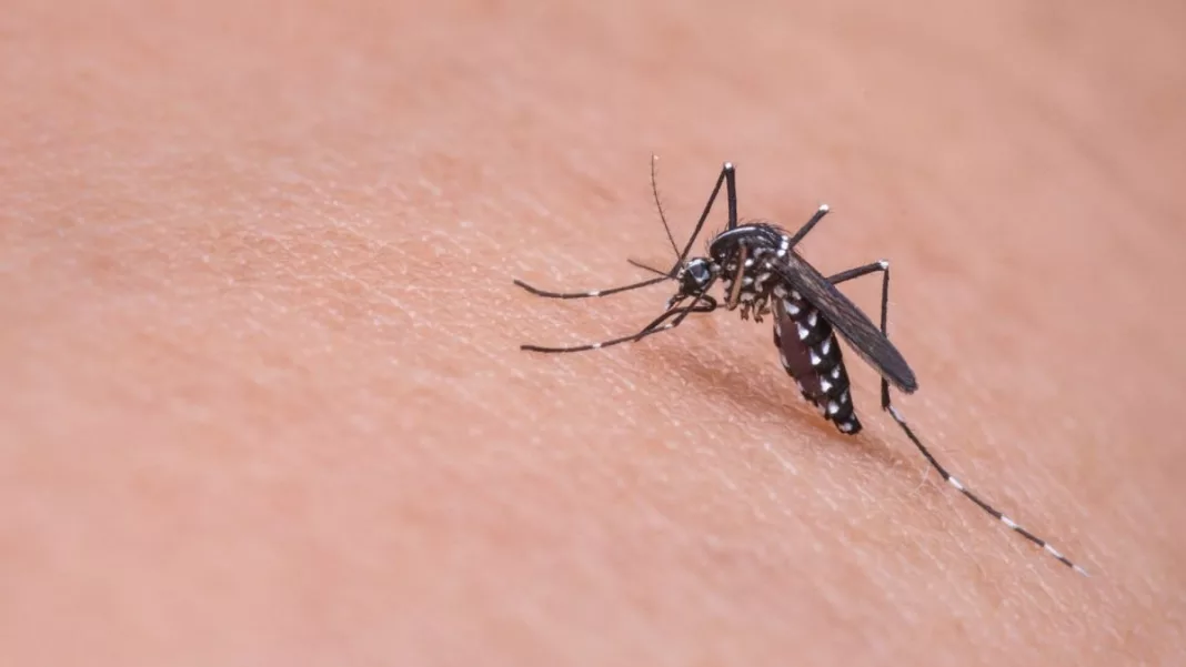 Un nou caz de infecție cu virusul West Nile