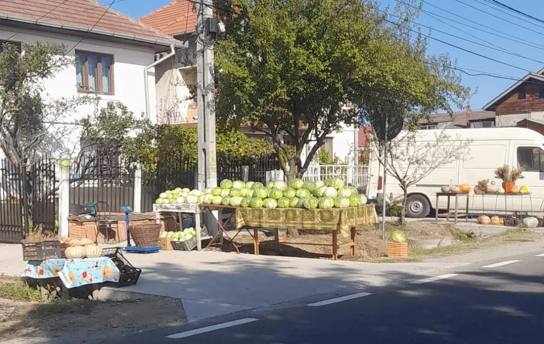 A doua ediție a Festivalului Verzei are loc în comuna Bălești