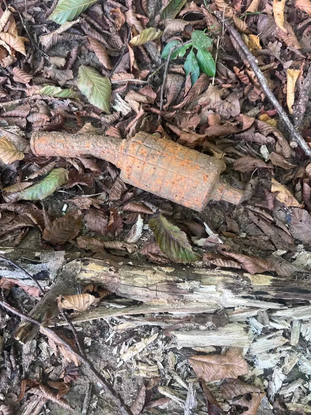 Grenadă defensivă găsită într-o pădure din Arcani