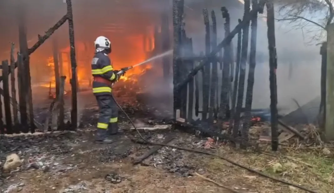 Gorj: Zece oi și un vițel au ars într-un incendiu la Tismana