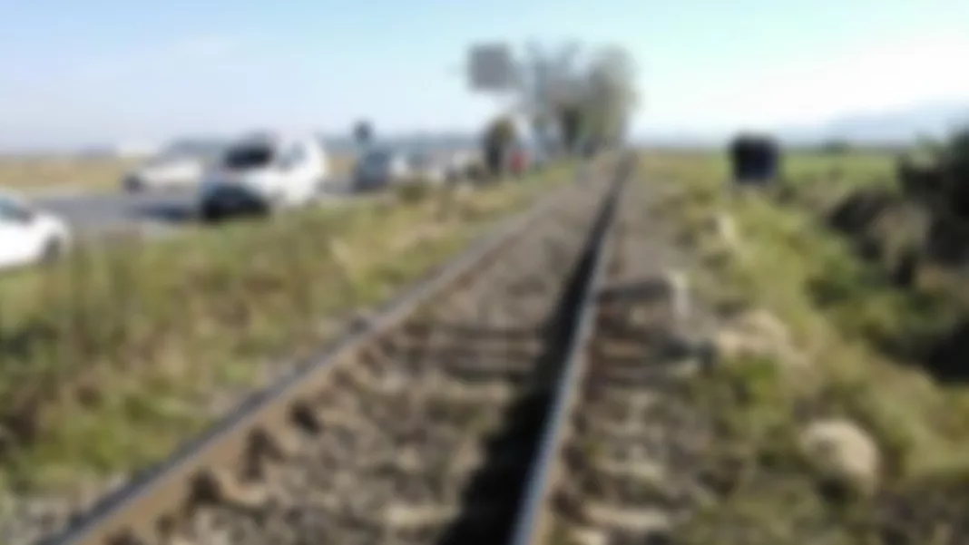 O turmă cu aproximativ 100 de oi a fost lovită de tren