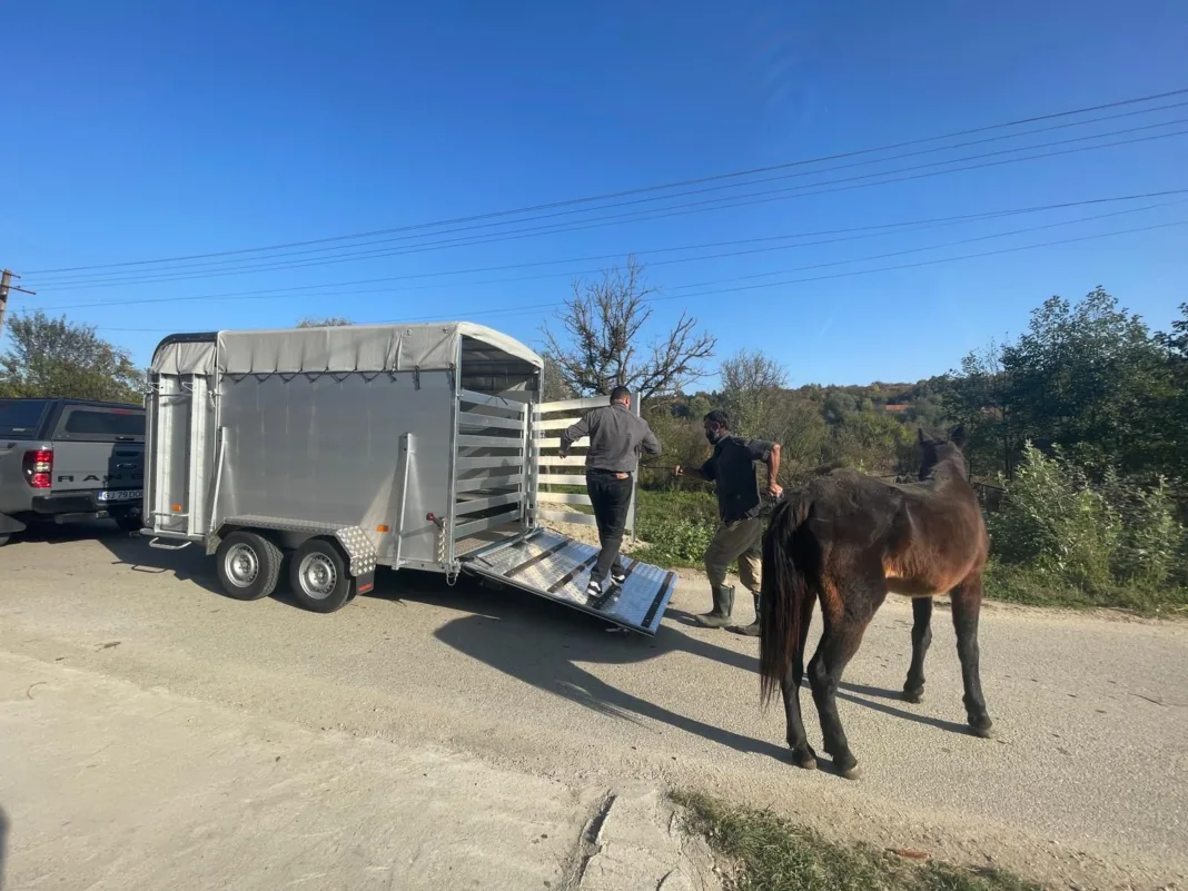 Unii gorjeni nu și-au tratat corespunzător animalele și au rămas fără ele