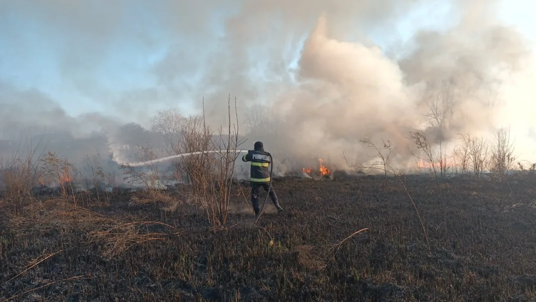 Cauza incendiilor de vegetație urmează să fie stabilită în urma investigațiilor