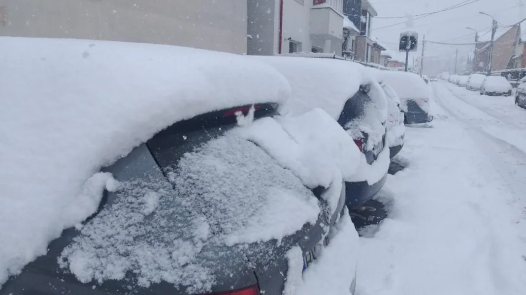 Ninsori abundente în Japonia. Peste 100 de răniţi şi trafic perturbat