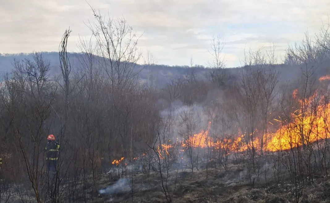 Vâlcea: O femeie a murit într-un incendiu de vegetație uscată, la Glăvile