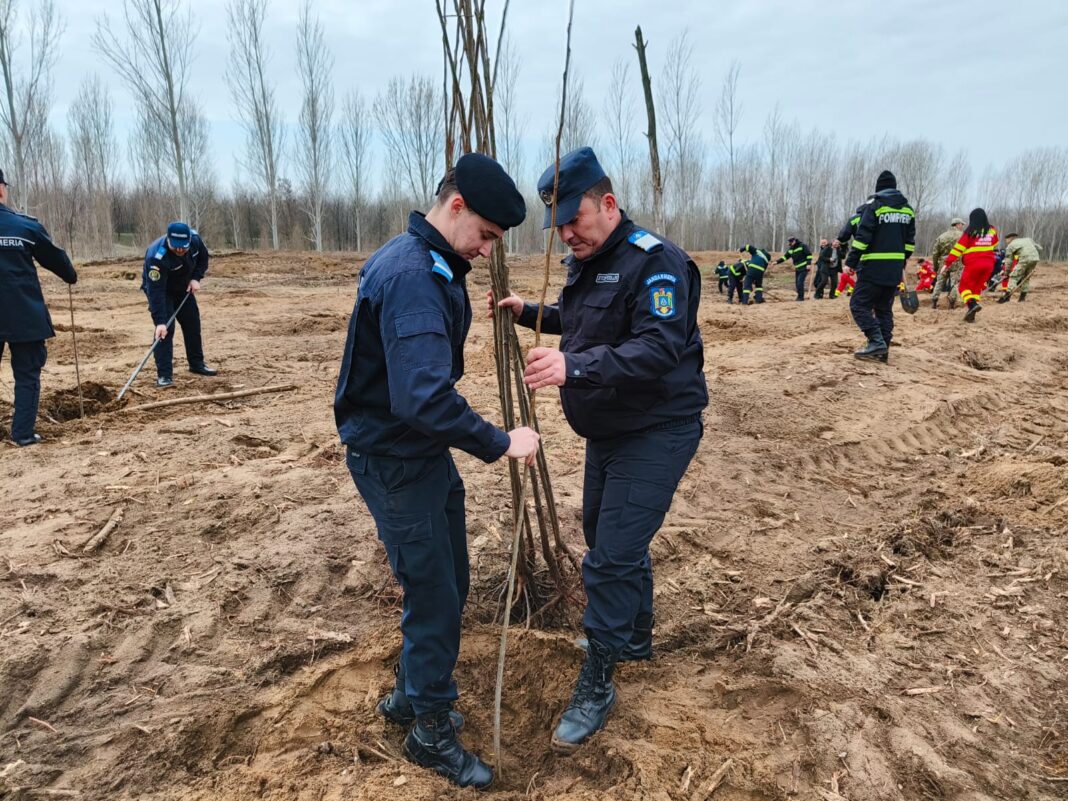 Jandarmii doljeni au plantat puieți de plop la Pisculeț