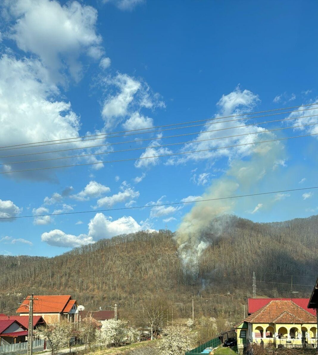 Vâlcea: Incendiu la Brezoi. Focul s-a extins la pădurea din apropiere