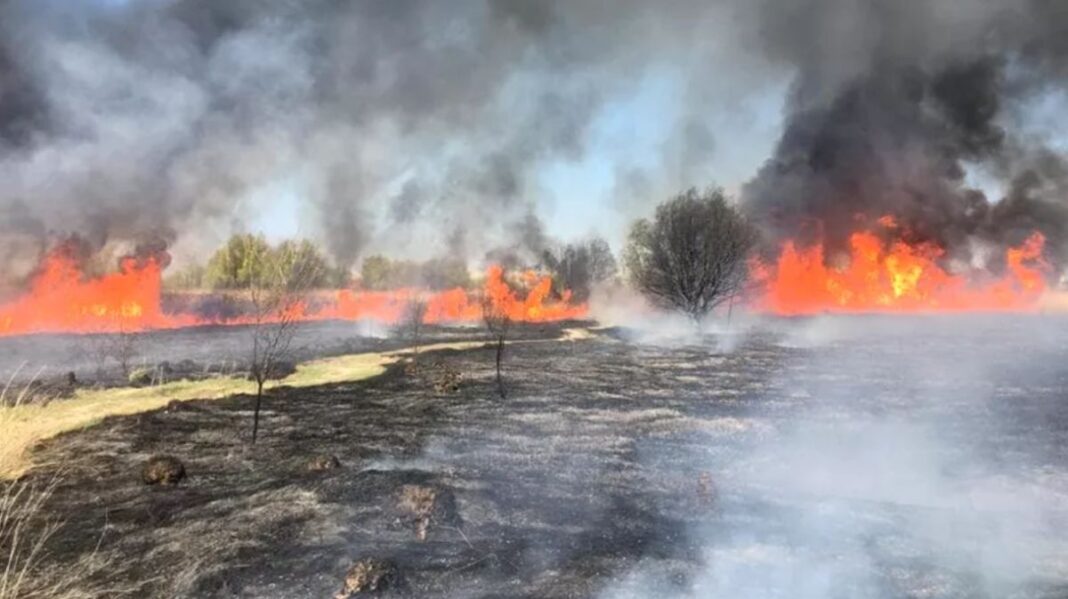 Un nou incendiu în Delta Văcărești