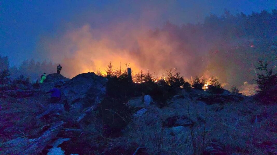 Incendiu de pădure în Munții Făgăraș