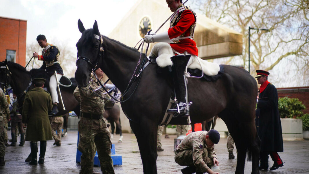 Londra: O persoană a fost rănită după ce mai mulţi cai din cavaleria regală au scăpat pe stradă
