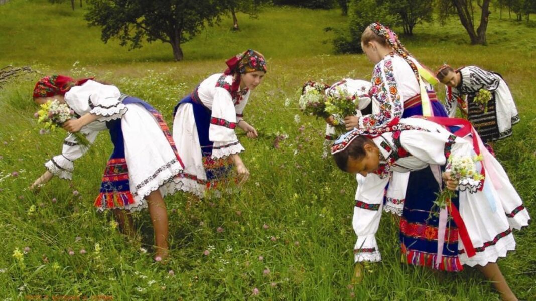 De Sânziene, fetele culeg florile albe sau galbene numite sânziene şi îşi împletesc din ele cununi şi cingători