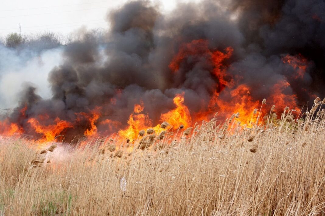 Record de incendii de vegetaţie, în iunie, în România