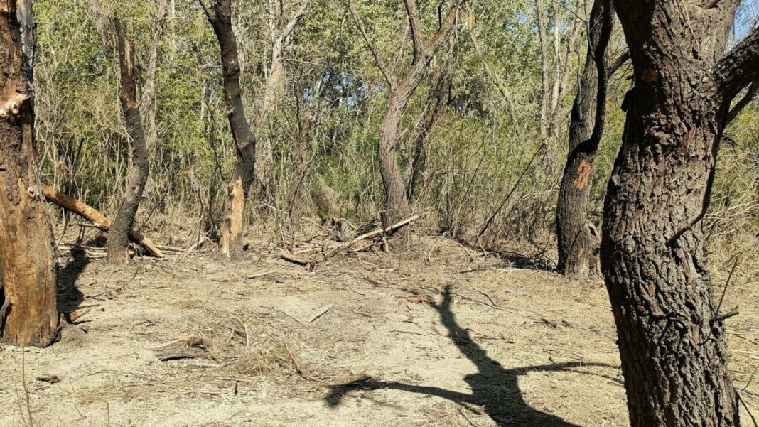 Resturi de dronă, găsite în zona localităţii tulcene Ceatalchioi