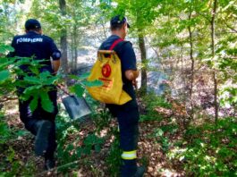 Pompierii mehedințeni continuă lupta cu incendiul de la Șvinița. Pădurea arde de 10 zile
