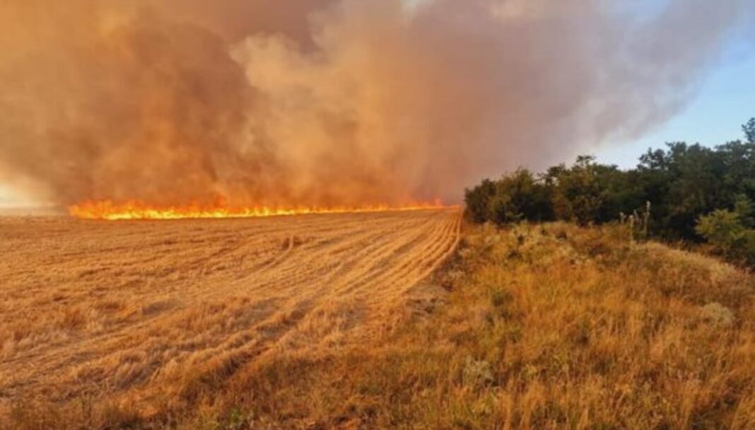 Femeie din Craiova, amendată în Gorj pentru că a incendiat paiele de pe un ogor