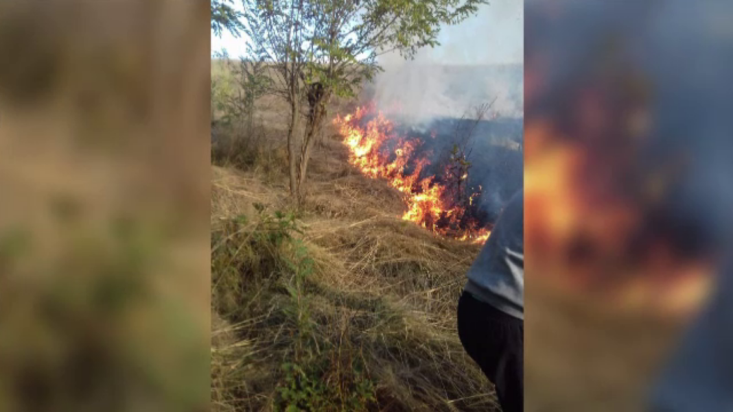 Incendiu de pădure în Caraş-Severin