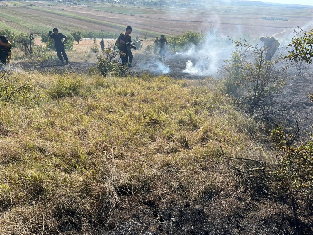 Incendiu vegetație în localitatea Predești