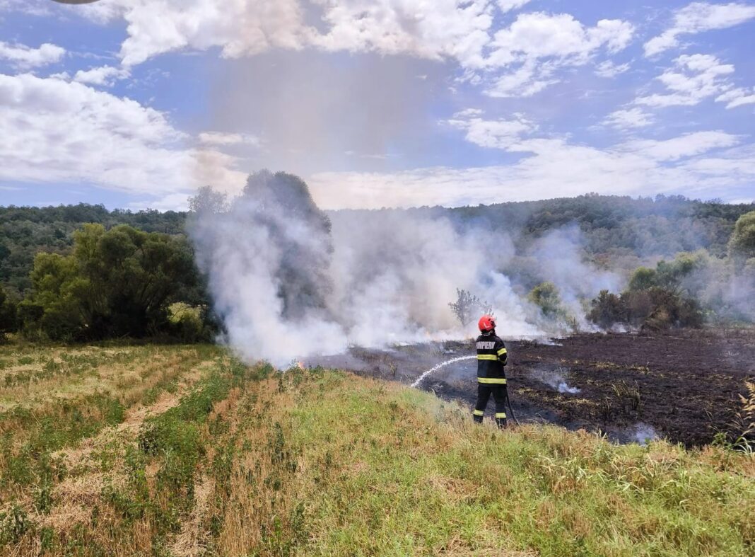 Dintre cele 27 de incendii, 25 au izbucnit la vegetație uscată