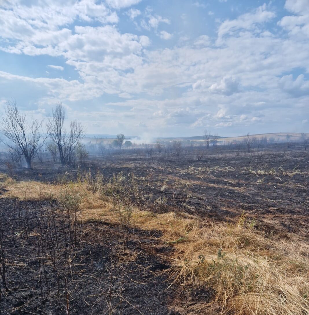 Incendii de vegetaţie în comuna Devesel