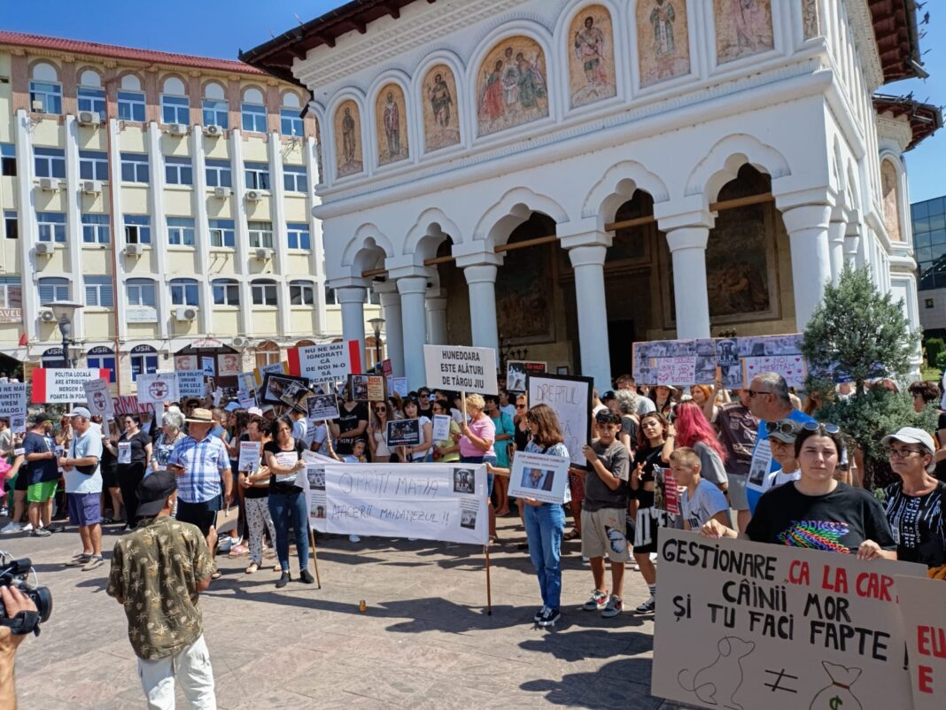 Sute de persoane protestează la Târgu Jiu după ce 60 de câini au fost eutanasiați în adăpostul public