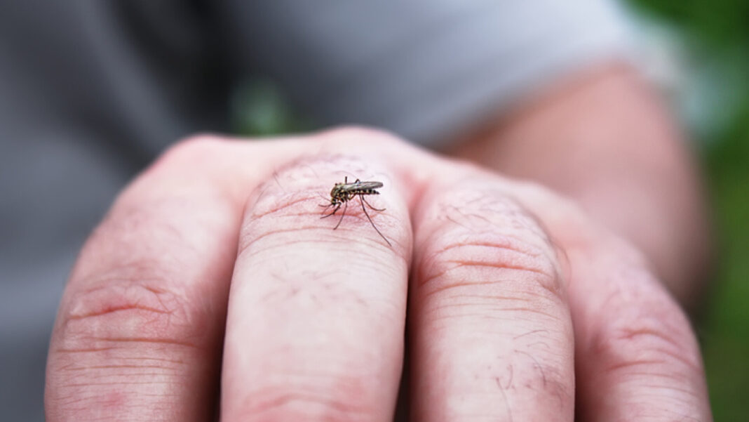 Încă o persoană și-a pierdut viața din cauza virusului West Nile