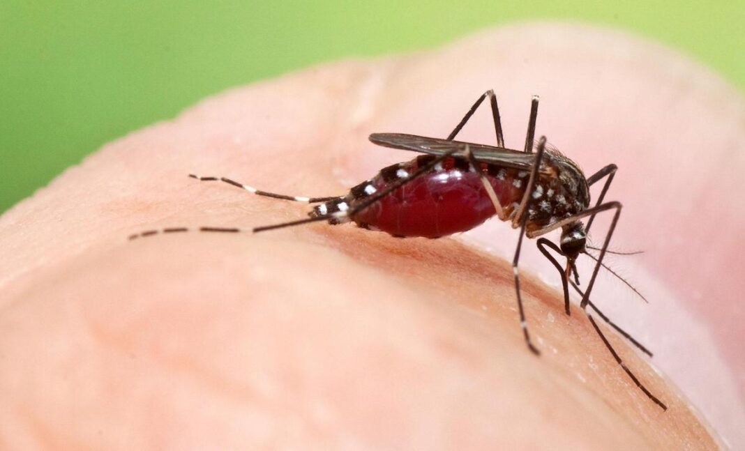 47 de cazuri de infecţie cu virusul West Nile din 3 iunie