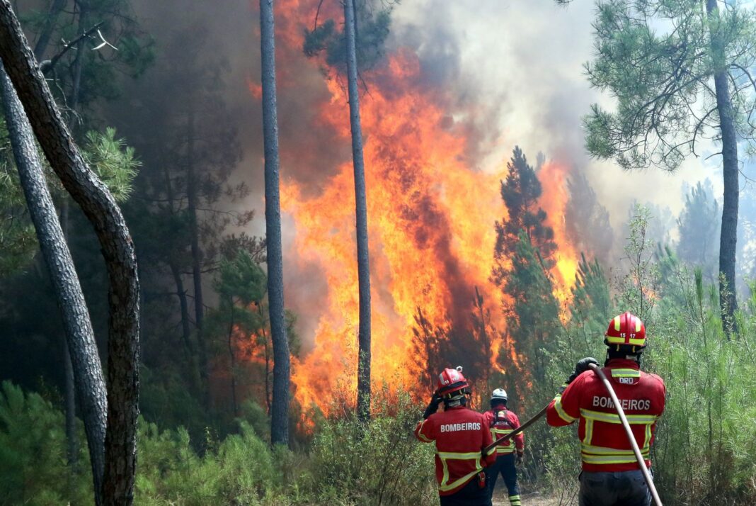 Risc major de producere a unor incendii de vegetaţie