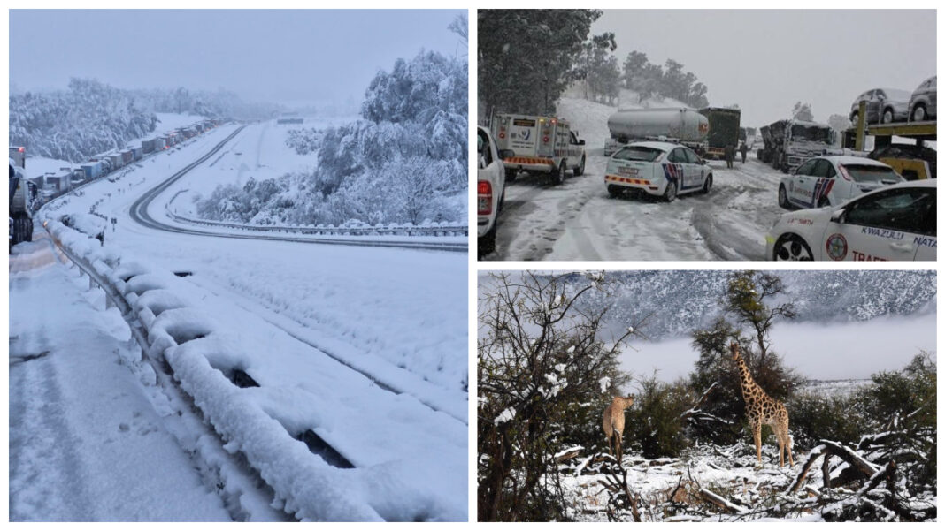 Fenomen meteo rar. Ninsori abundente în Africa de Sud