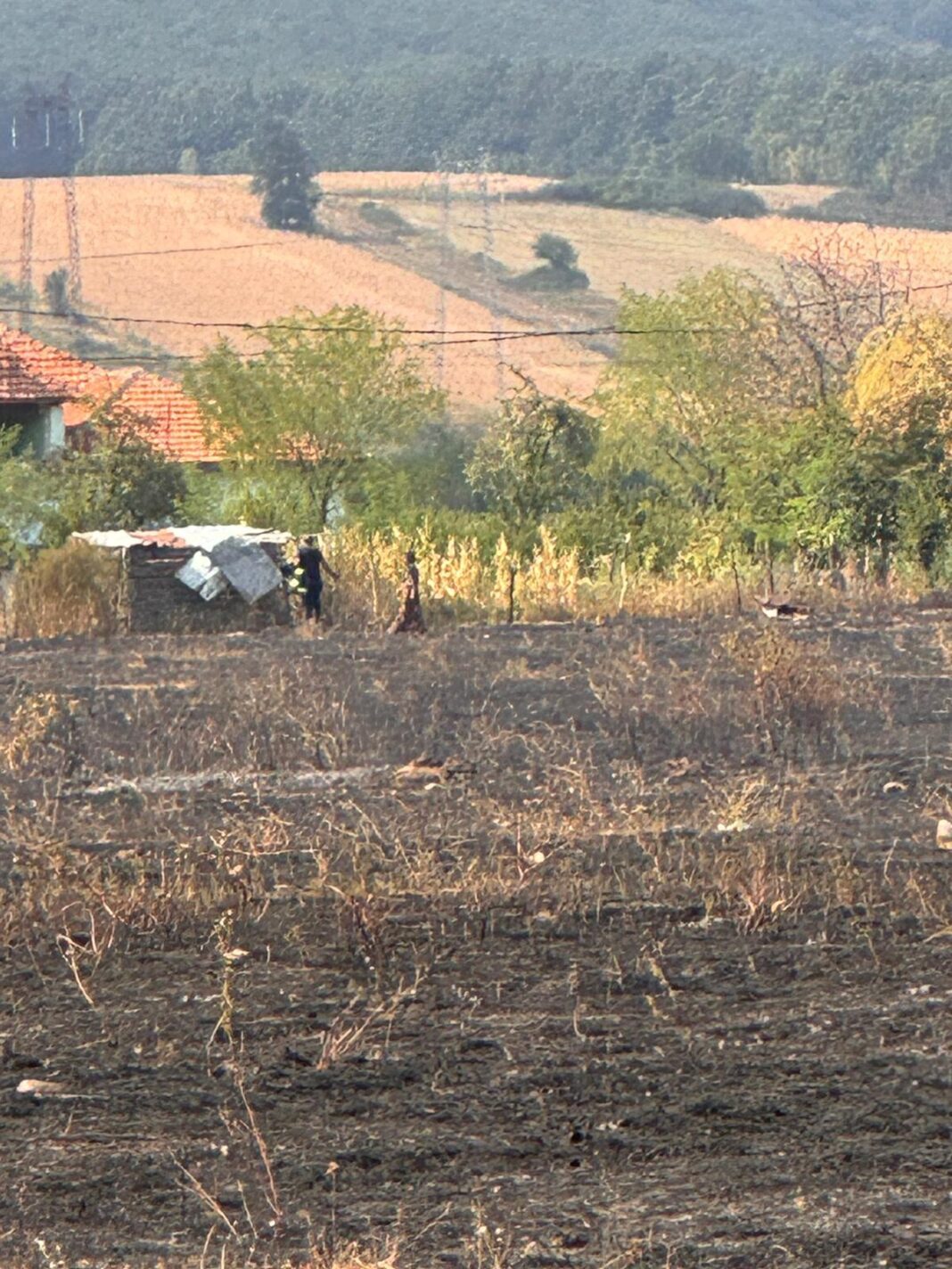 Gorj: Cel puțin 20 de locuințe, salvate din calea flăcărilor