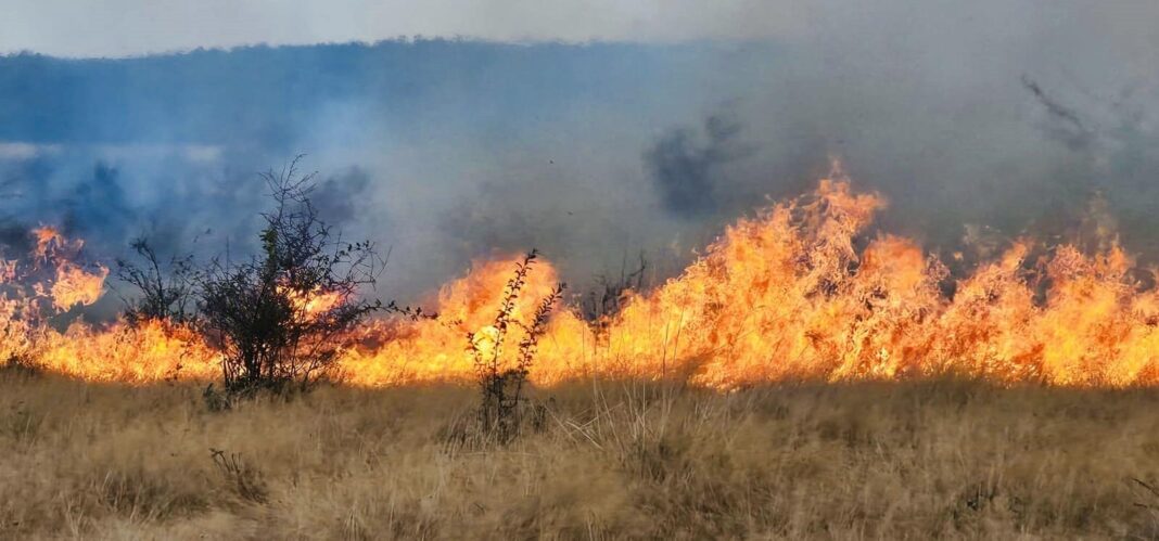 Patru incendii de vegetație uscată, în desfășurare în Gorj