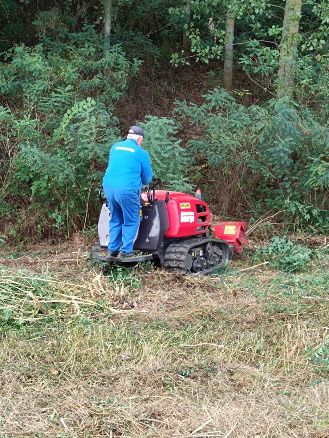 Acțiuni de defrișare mecanică pe digurile de la Dunăre