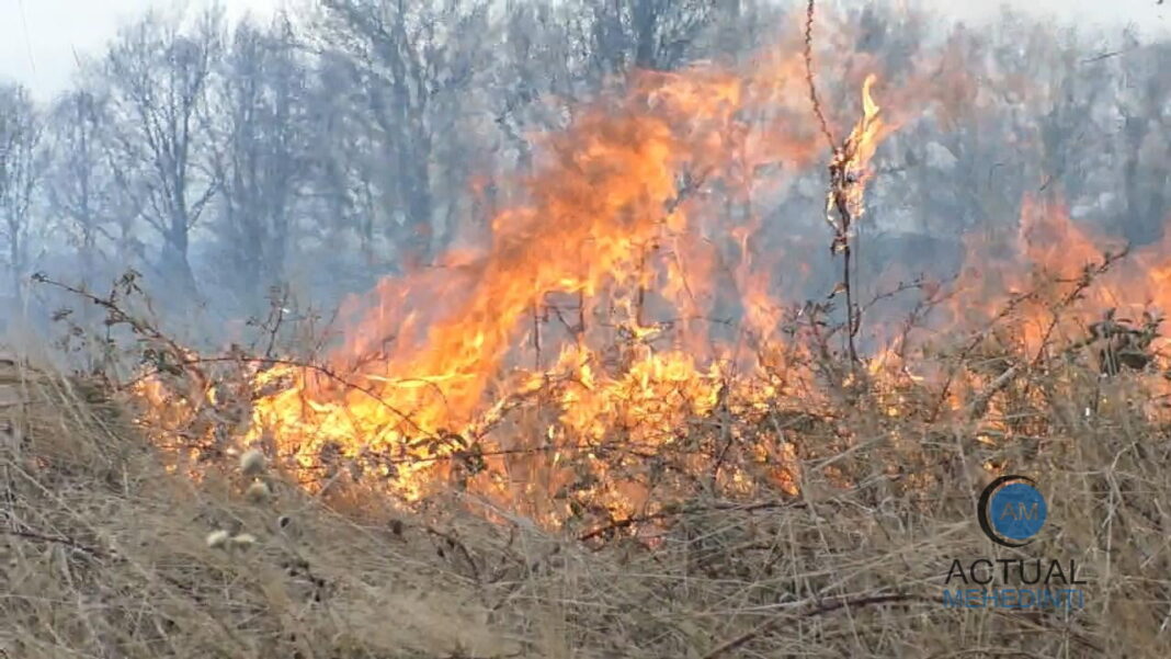 Caraș-Severin: 12 incendii de vegetaţie uscată, izbucnite luni