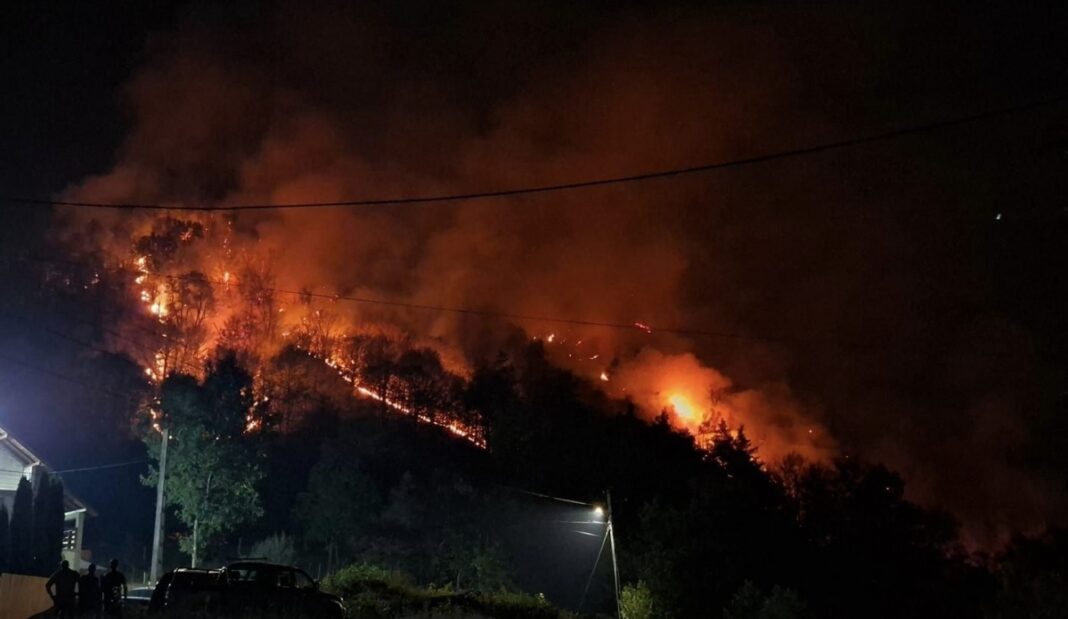 Vâlcea: O femeie, bănuită că a provocat incendiul de vegetație de la Racovița