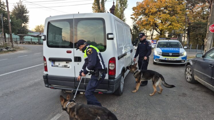 Acțiunea a vizat prevenirea și combaterea oricăror fapte cu violenţă