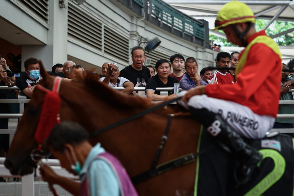 Paritorii reacţionează în timp ce caii sprintează spre linia de sosire în ultima zi a cursei la Singapore Turf Club din Kranji